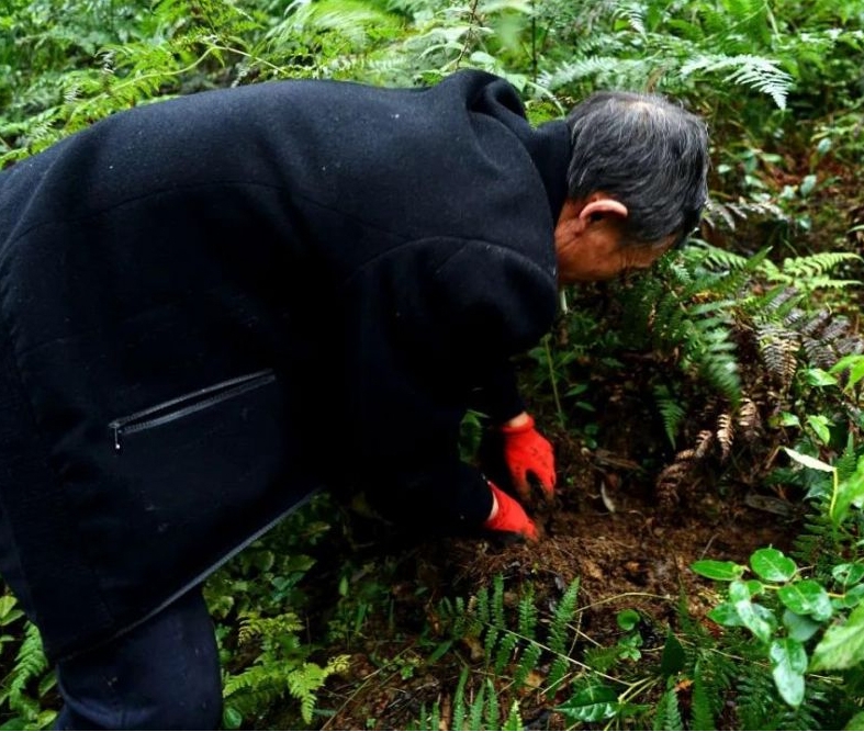 唐朝暉丨它的叫聲跟娃娃哭的聲音一樣